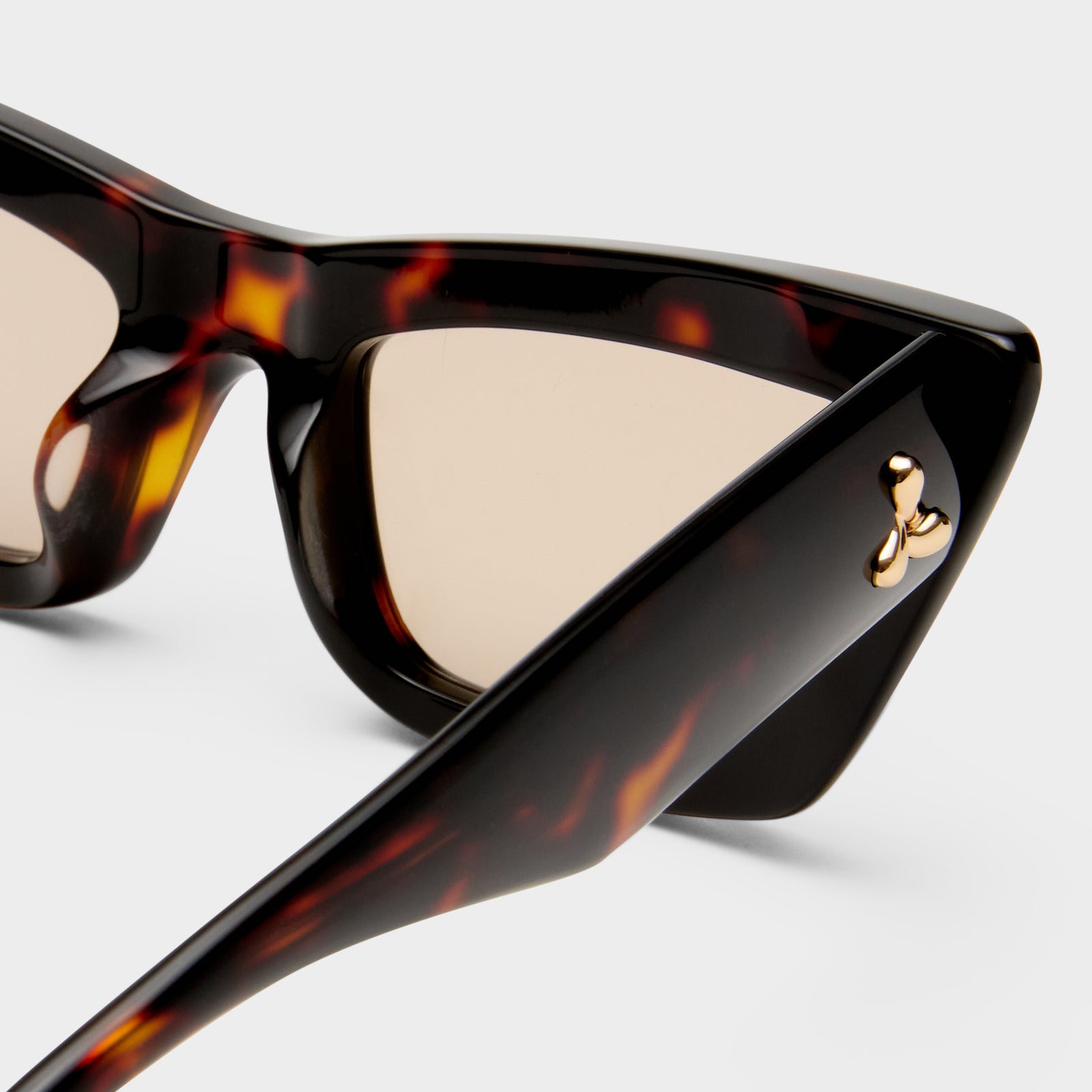 Lucia Tortoiseshell Female Cat-Eye Sunglasses | Le Specs