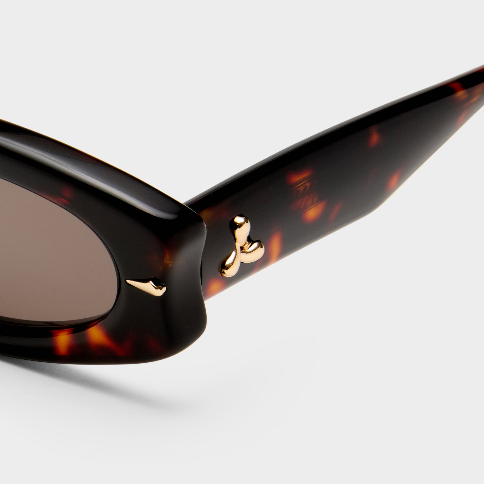 Lunar Tortoiseshell Female Oval Sunglasses | Le Specs