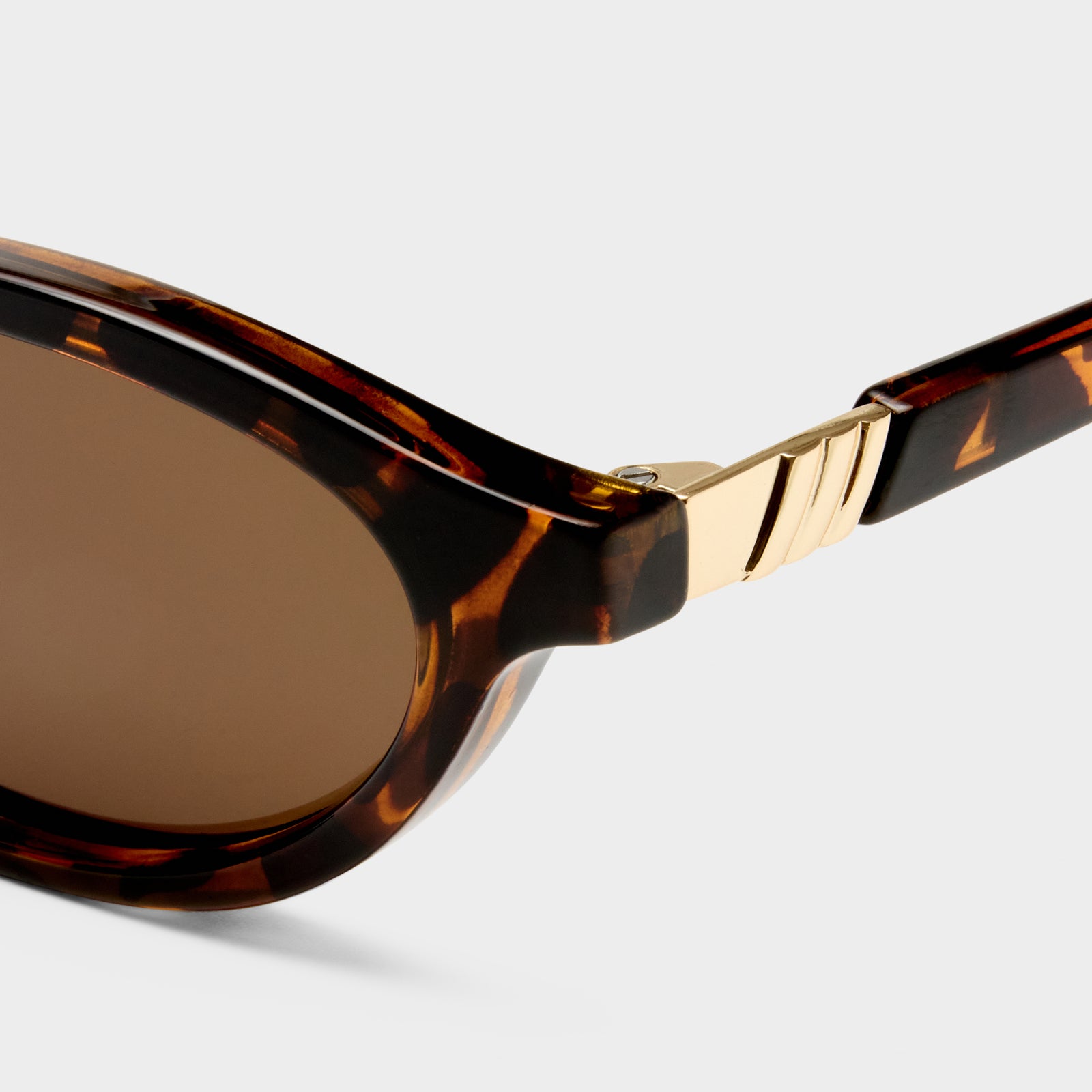 Duskfall Tort Female Oval Sunglasses | Le Specs