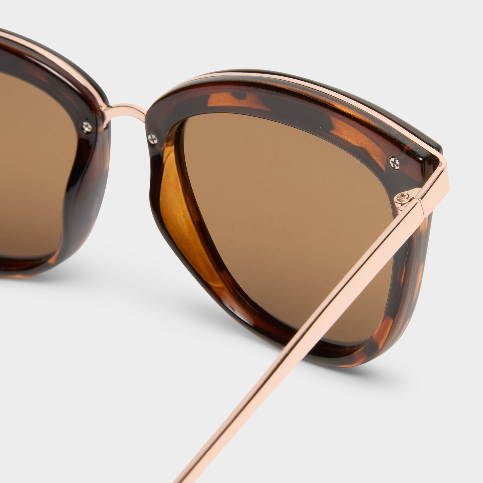 Caliente Tort Rose Gold Female Cat-Eye Sunglasses | Le Specs